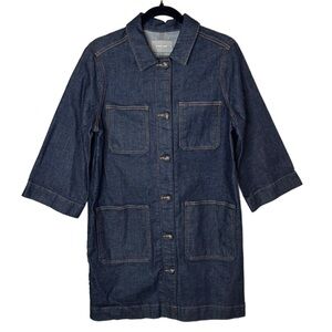 Everlane Denim Chore Dress